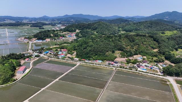 대표시청각 이미지