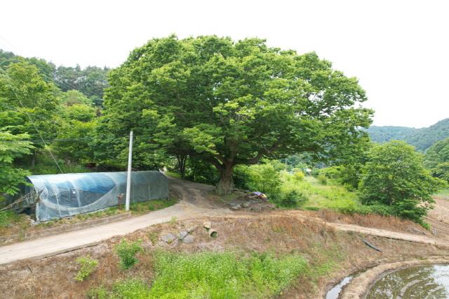 대표시청각 이미지