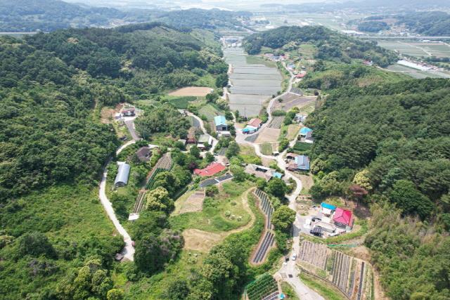 대표시청각 이미지