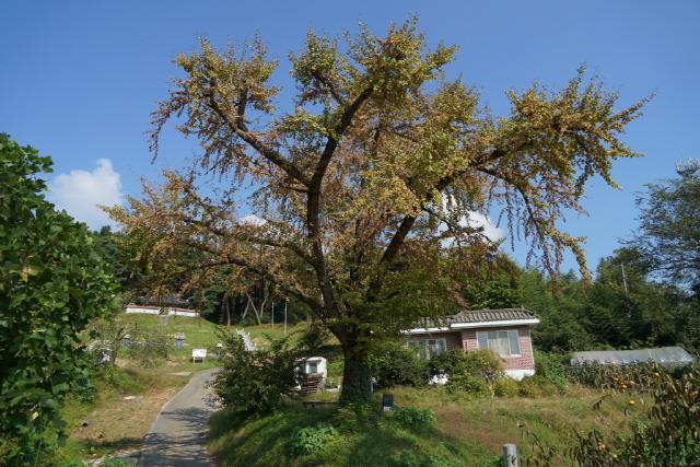 대표시청각 이미지